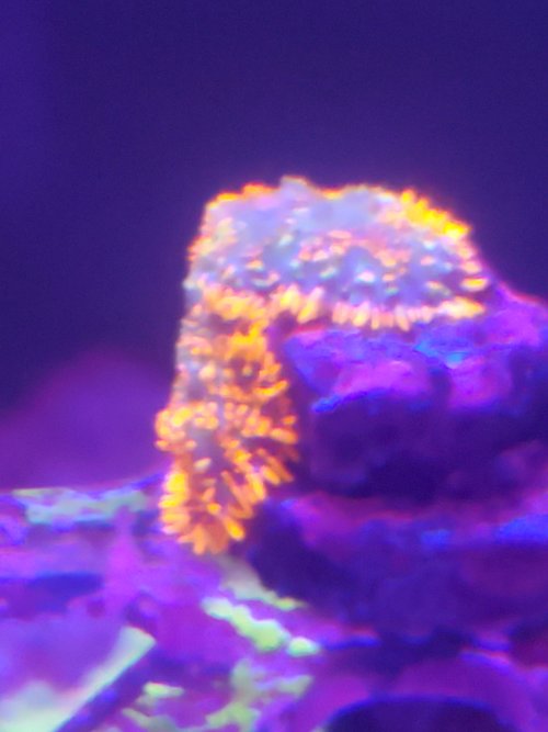 20250612_143808.jpg
