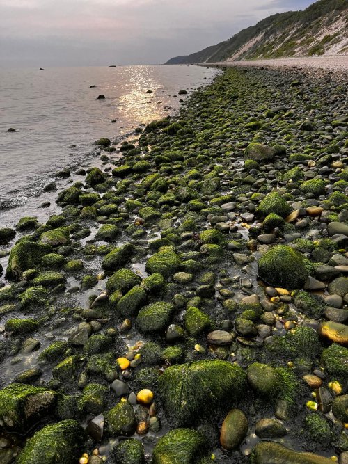 Low tide.jpg