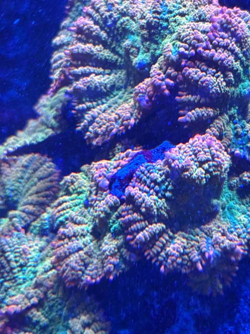 IMG_2267.jpeg