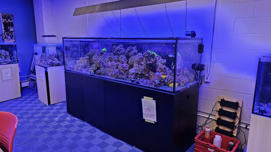 20250618_164409.jpg