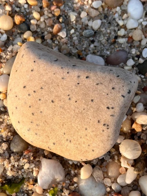 Ich on Rock.jpg