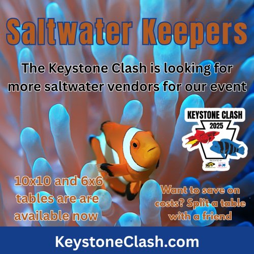 saltwater vendors.jpeg