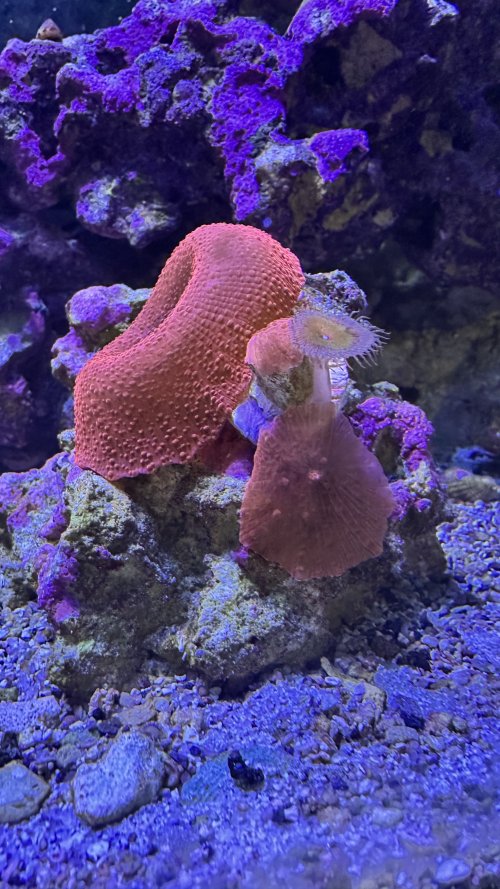 IMG_7011.JPEG