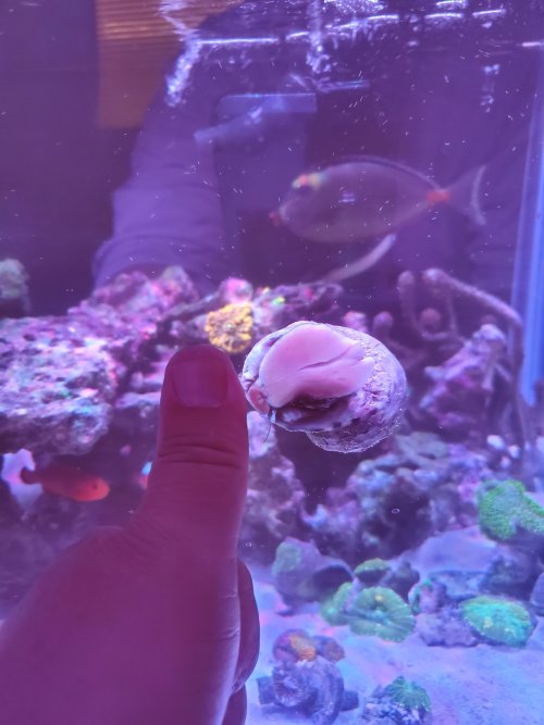 20250629_153756.jpg