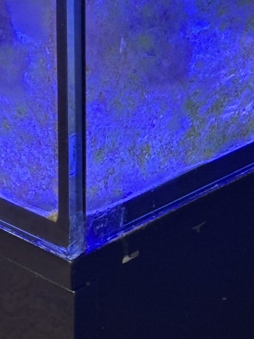 IMG_0972.jpeg