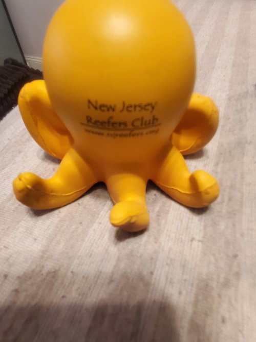 20250630_190404.jpg