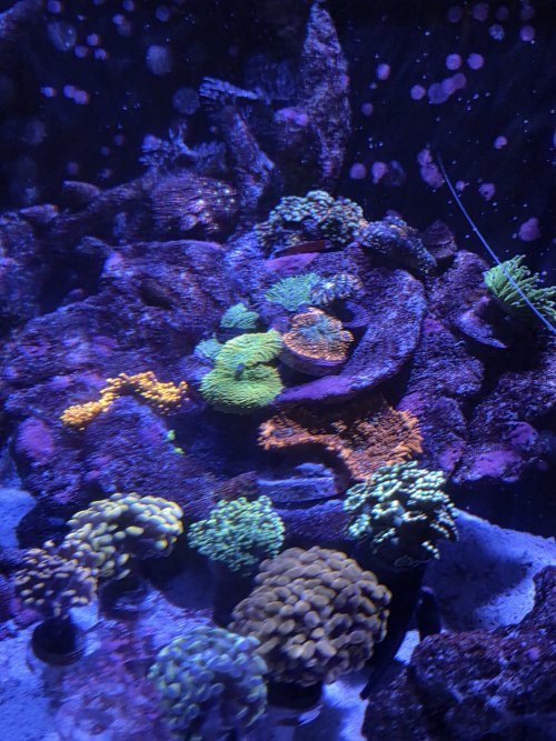 20250626_085641.jpg