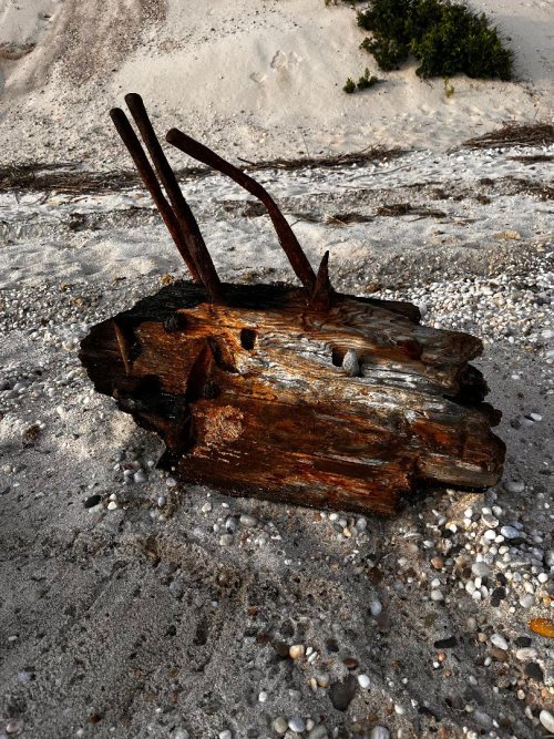 Live piece of dock.jpg