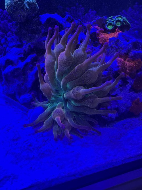 IMG_3717.jpeg