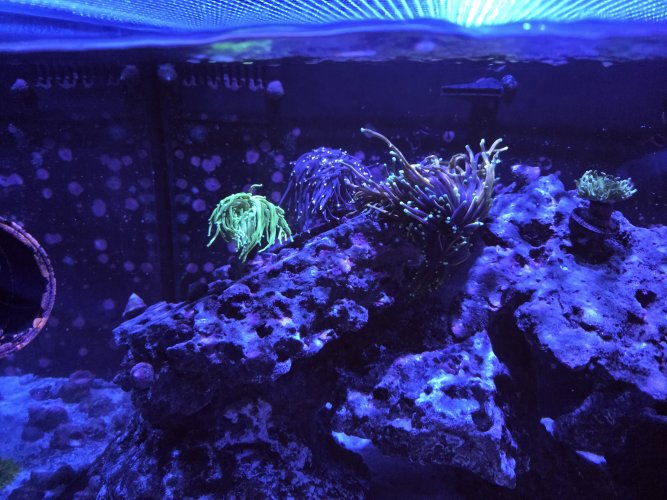 20250729_084435.jpg