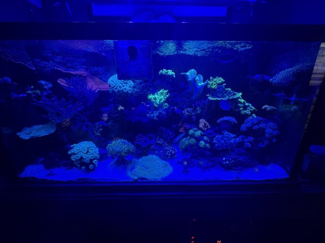 IMG_9755.jpeg