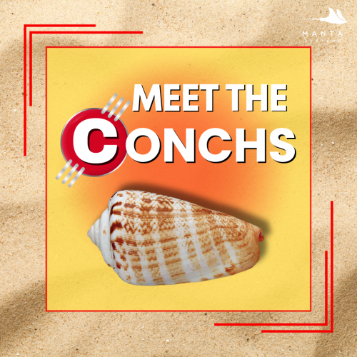 Conch.png
