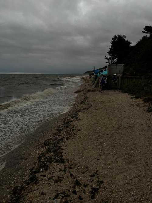 Beach looking east.jpg