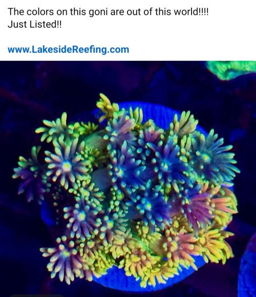 Screenshot_20250821-074346_Facebook.jpg