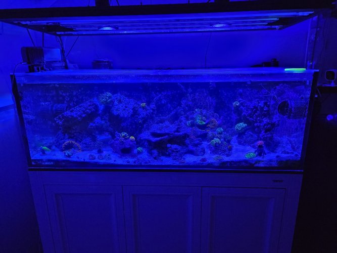 20250827_185046.jpg