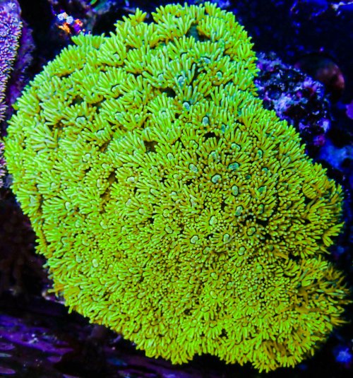 P9050431.jpg