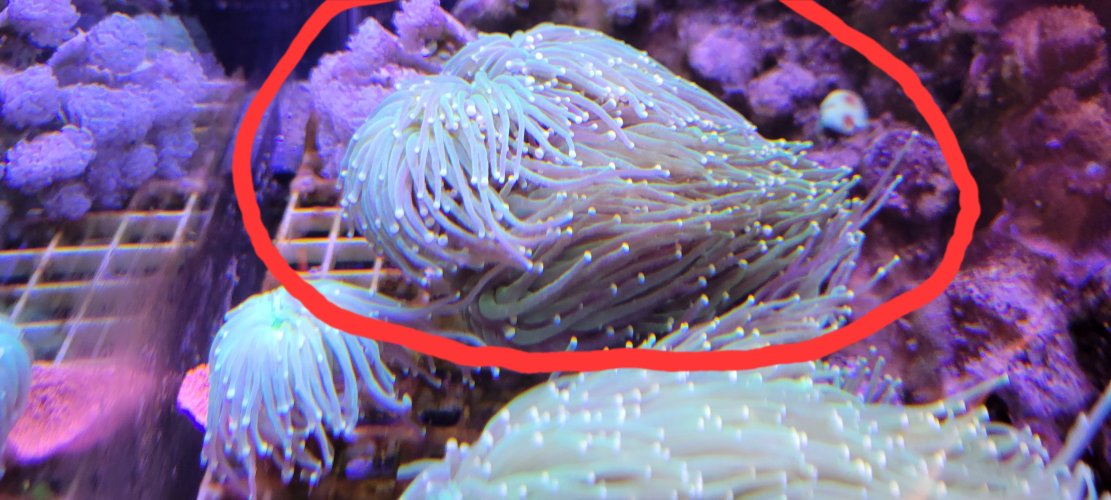 20250903_181041.jpg