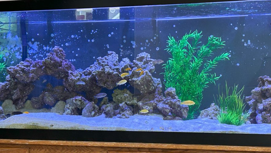 New Tank09122025.jpg