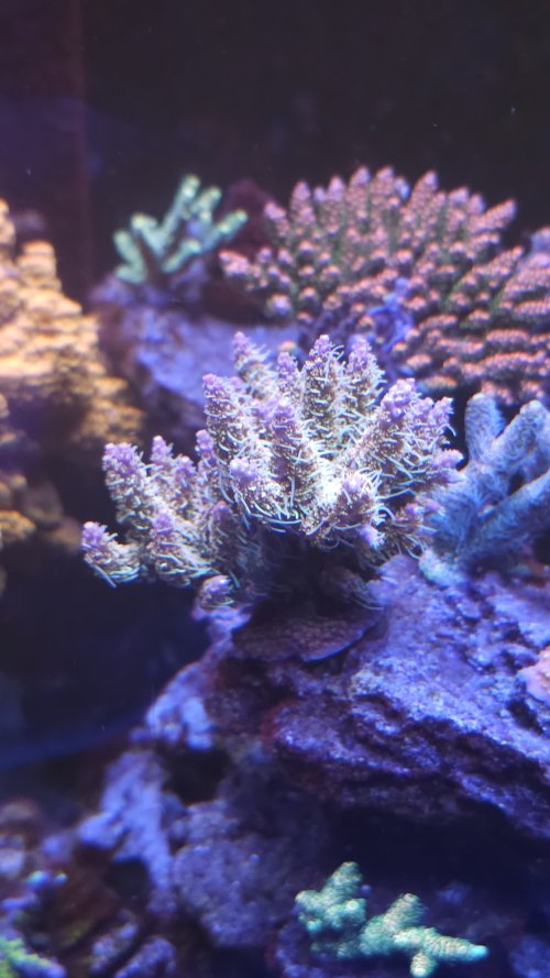 20250918_193341.jpg