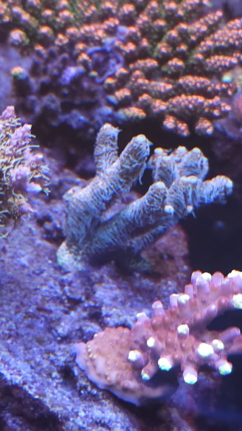 20250918_193448.jpg