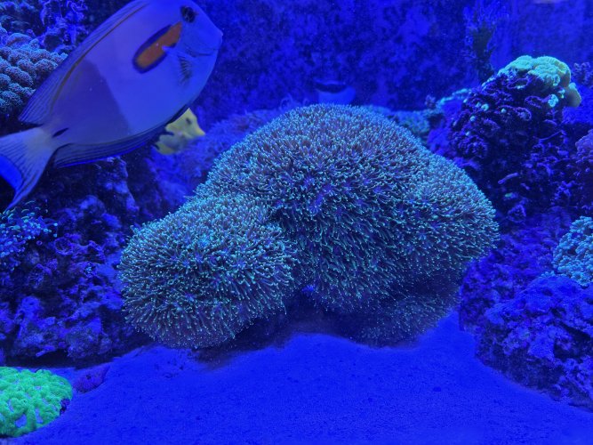 20250925_161521.jpg