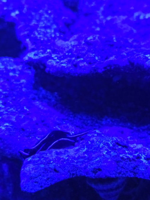 20250926_195726.jpg