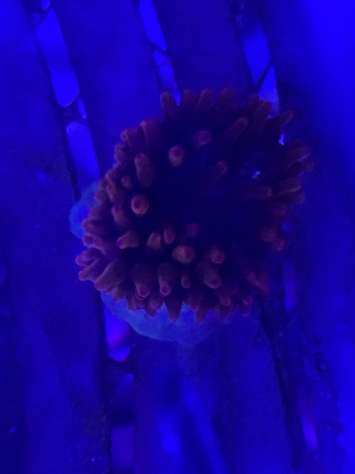 IMG_0253.jpeg
