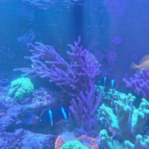 20251007_154657.jpg