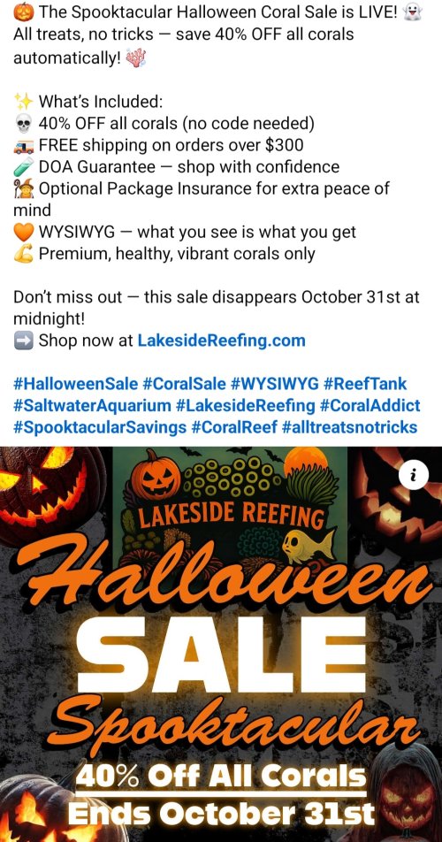 Screenshot_20251009-192024_Facebook.jpg