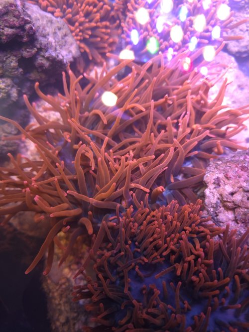 20250830_175801.jpg