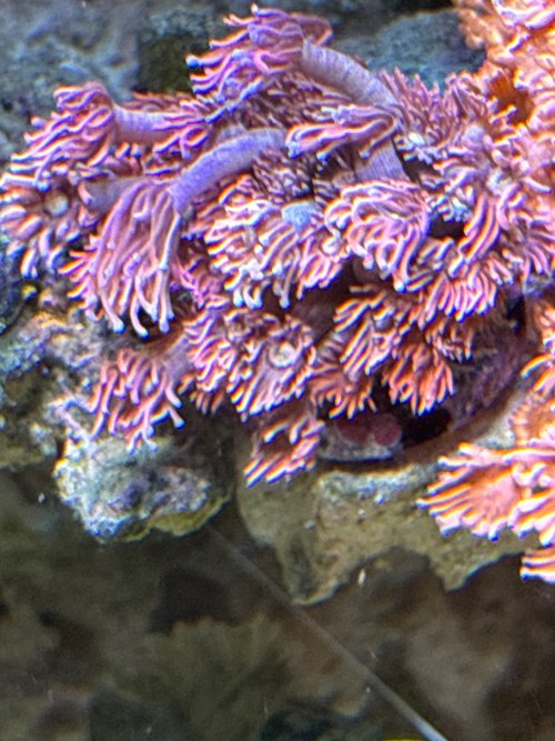 IMG_3456.jpeg