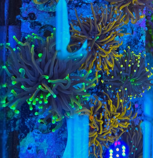 2025-11-28 15.30.26.jpg