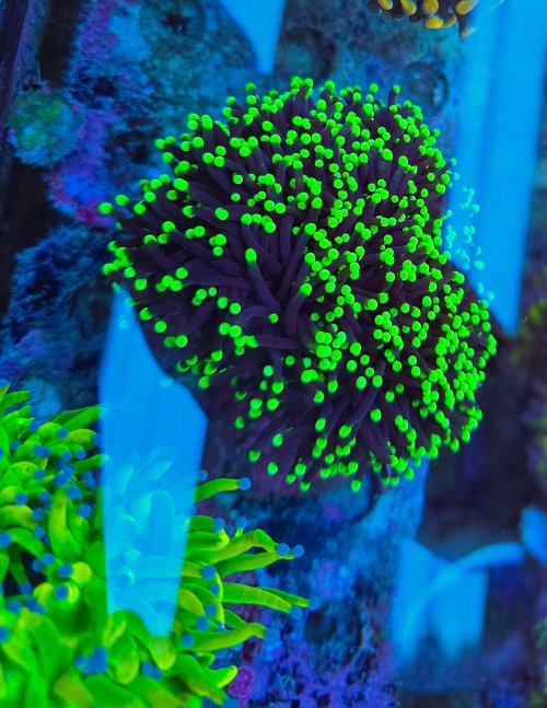 2025-11-28 15.30.40.jpg