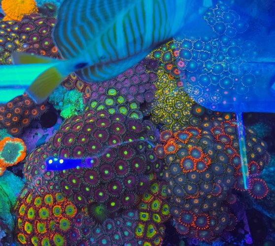 2025-11-28 15.31.15.jpg