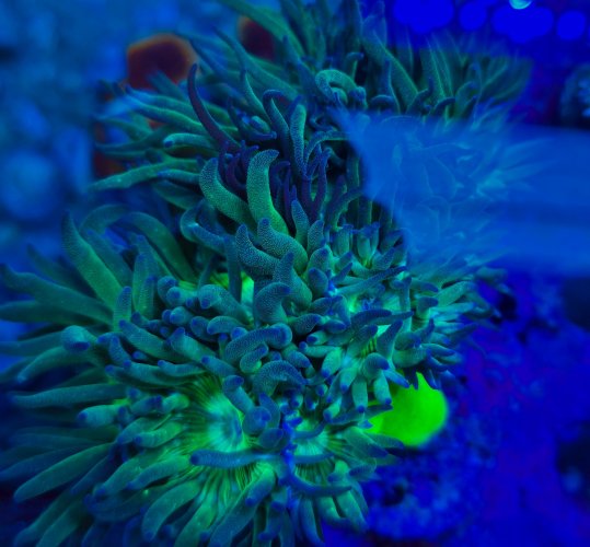 2025-11-28 15.31.44.jpg