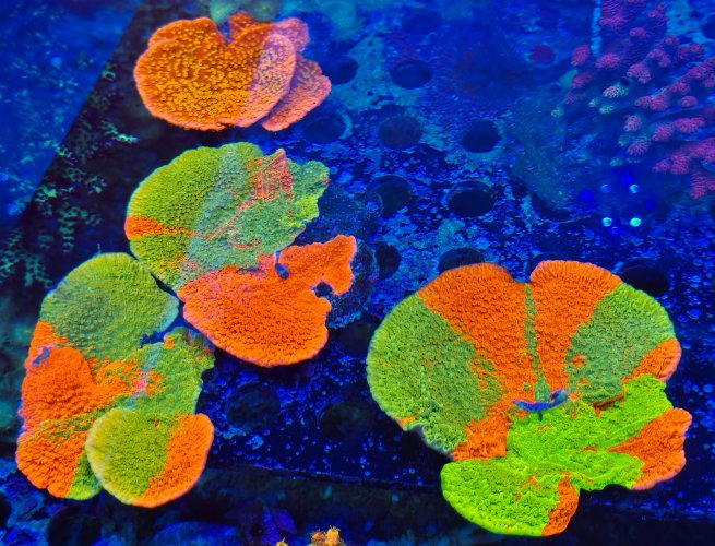 2025-11-28 15.32.26.jpg