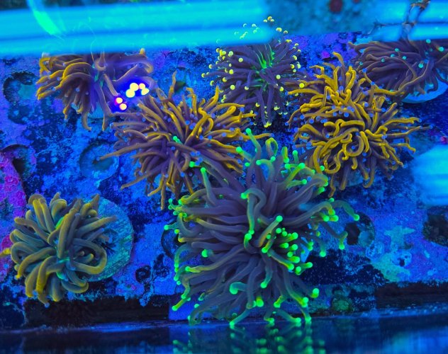 2025-11-28 15.30.24.jpg