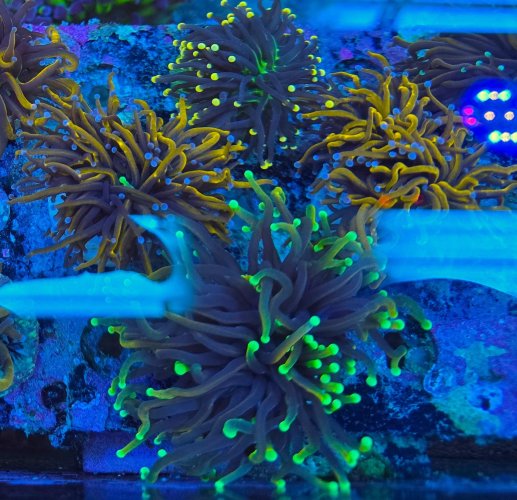 2025-11-28 15.30.26.jpg