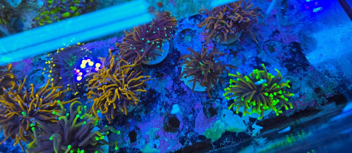 2025-11-28 15.30.29.jpg