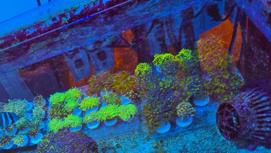 2025-11-28 15.30.36.jpg