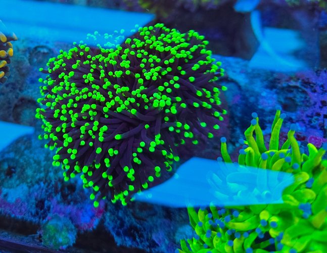 2025-11-28 15.30.40.jpg