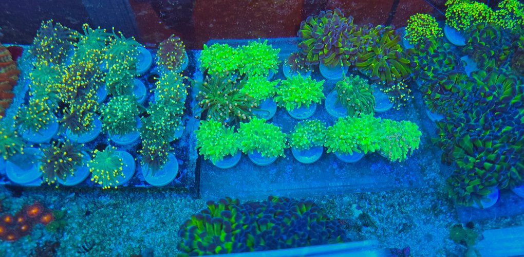 2025-11-28 15.30.45.jpg