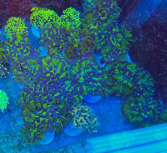 2025-11-28 15.30.46.jpg