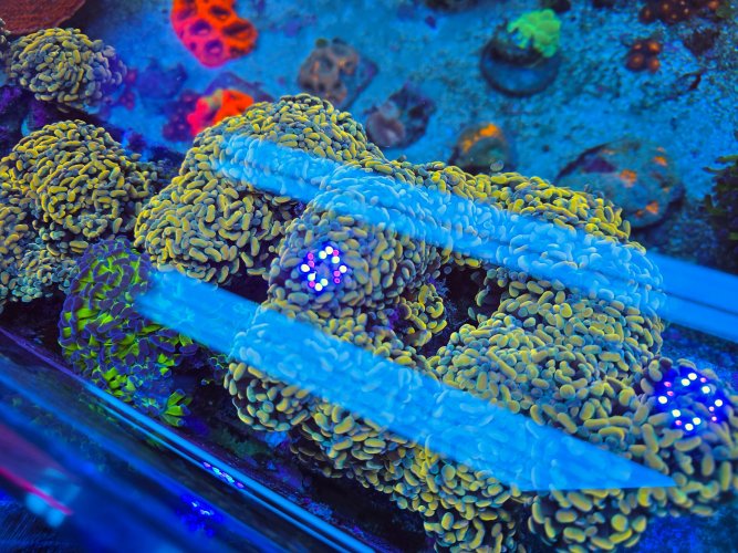 2025-11-28 15.30.49.jpg