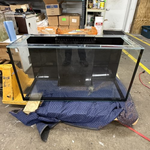 IMG_1301.jpeg IMG_1301.jpeg