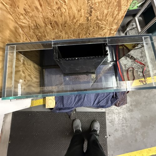 IMG_1316.jpeg IMG_1316.jpeg