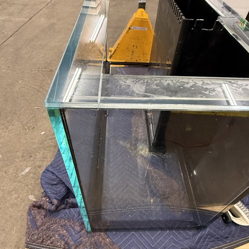 IMG_1304.jpeg IMG_1304.jpeg