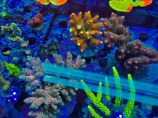 2025-11-28 15.32.33.jpg