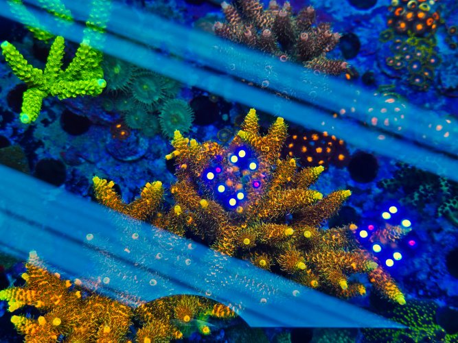 2025-11-28 15.32.37.jpg