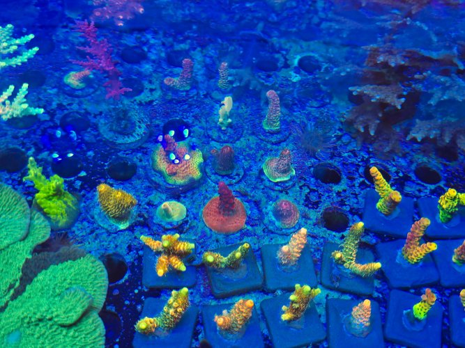 2025-11-28 15.32.44.jpg